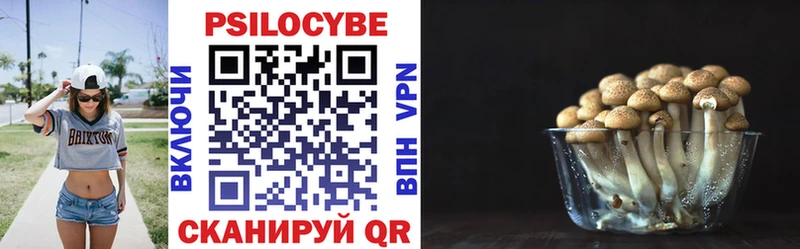 Галлюциногенные грибы мухоморы  Купить где  Каневская 